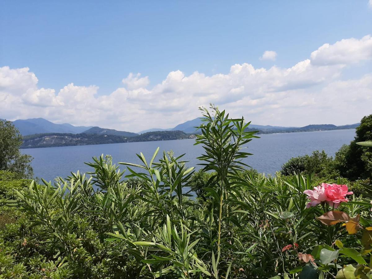 Bmp Apartment Gioiosa 2 Giardino Vista Lago Maggiore Belgirate Eksteriør bilde