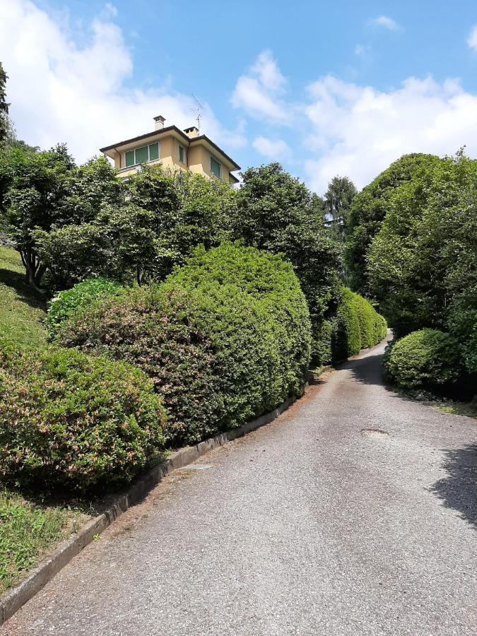 Bmp Apartment Gioiosa 2 Giardino Vista Lago Maggiore Belgirate Eksteriør bilde
